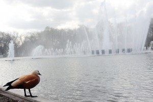 В Парке Горького появится памятник водолазу
