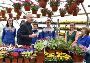 25 апреля 2016 Мэр Москвы Сергей Собянин осмотрел Измайловский совхоз декоративного садоводства