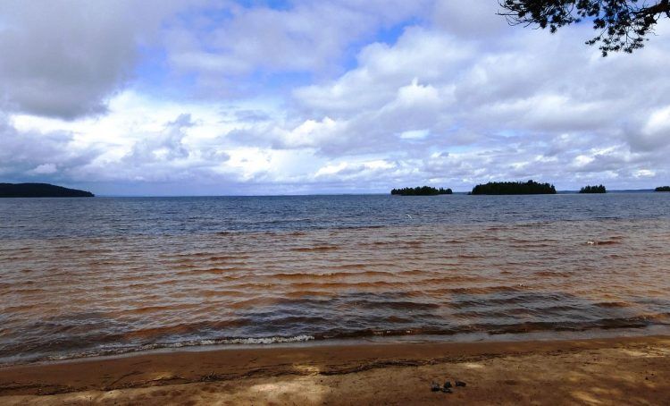 Несколько мест в столице для купания одобрили в Роспотребнадзоре. Фото: Архив, «Вечерняя Москва»
