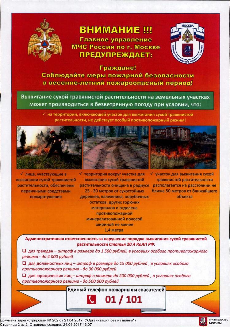 Меры пожарной безопасности в весенне-летний пажароопасный период. Фото: МЧС России