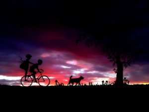 Москвичи поучаствуют в ночном велопараде. Фото: pixabay.com