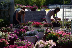Специалисты «Жилищника» завершат высадку цветов в районе. Фото: Антон Гердо, «Вечерняя Москва»