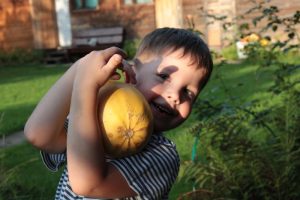 Осенний урожай собрали в минувшие выходные. Фото: Максим Аносов, «Вечерняя Москва»