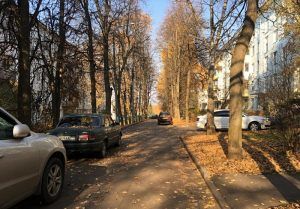 Водители смогут бесплатно припарковаться в центре Москвы во время ноябрьских праздников. Фото: Анна Быкова