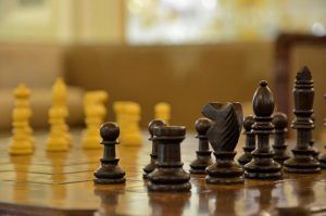 Международный шахматный турнир прошел в районе. Фото: Анна Быкова