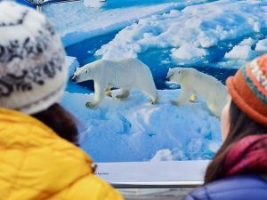 Лекция о технологиях для освоения Арктики состоится в «МИСиС». Фото: сайт мэра Москвы