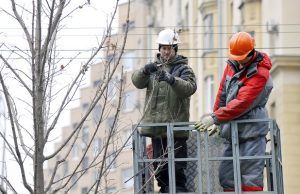 Санитарную обрезку деревьев проведут на улице Большая Полянка. Фото: сайт мэра Москвы
