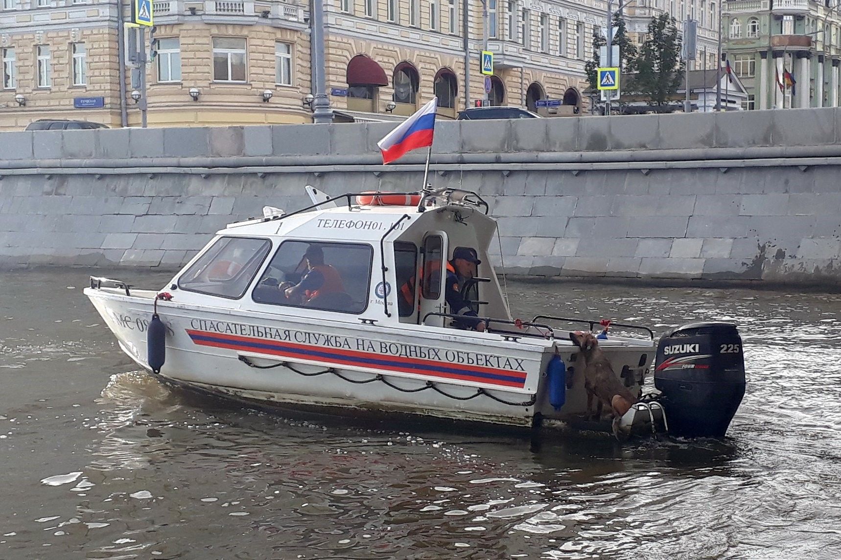 Московские спасатели выезжали более трехсот раз на помощь животным