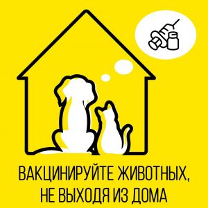 Москвичам рассказали о дистанционной вакцинации домашних животных