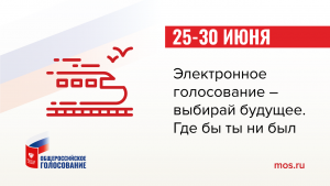 Электронное голосование будет доступно жителям Москвы и Нижегородской области