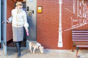 Москвичам дали рекомендации по мерам профилактики коронавируса у домашних животных. Фото: сайт мэра Москвы