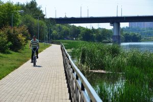 Депутат МГД Бускин: число поездок на прокатных велосипедах выросло на 30%. Фото: Анна Быкова