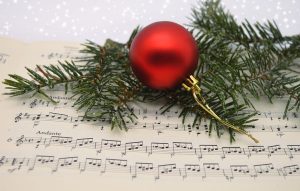 Новогодний концерт проведут в Государственной детской библиотеке. Фото: pixabay.com