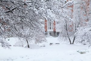 Нынешняя зима в столице уже стала самой снежной за последние четыре года. Фото: pixabay.com