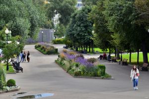 Парк Горького сообщил о временном ограничении входа на территорию зоны отдыха. Фото: Анна Быкова