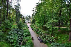 Парк Горького проведет пешую экскурсию по Нескучному саду. Фото: Анна Быкова, «Вечерняя Москва»