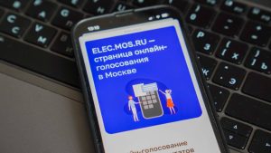 Общественный штаб: тестовое голосование перед выборами в МГД прошло успешно. Фото: Ксения Догонашева, «Вечерняя Москва»