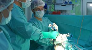 Врачи Первой Градской больницы провели двухстороннюю эндоскопическую пластику паховой грыжи у 101-летней пациентки. Фото: Telegram-канал больницы №1