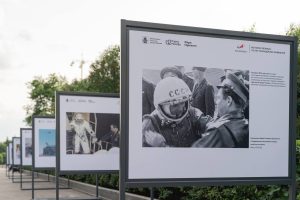Фотовыставка и гимнастика: пройдут в парке Горького. Фото: Telegram-канал парка Горького