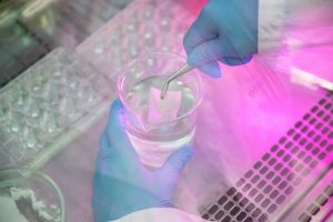 Ученые Университета МИСИС разработали уникальный имплантат щитовидного хряща. Фото: сайт университета