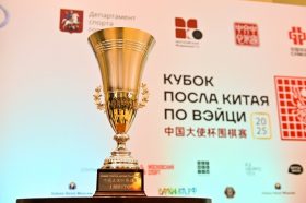 Более 300 игроков приняли участие в Кубке посла Китая по Вэйци. Фото: Сергей Киселев, Агентство городских новостей «Москва»