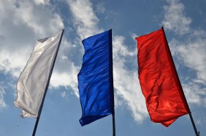 Хинштейн пригласил курян голосовать за губернатора Курской области в Москве. Фото: Анна Быкова, «Вечерняя Москва»