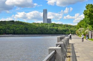 Сезон большого бега в Москве завершат фестиваль и полумарафон. Фото: Анна Быкова, «Вечерняя Москва»