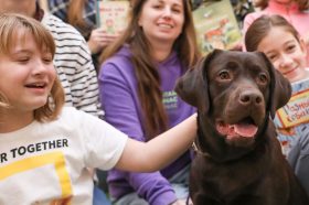 Лекцию о домашних питомцах прочитают в детской библиотеке. Фото: сайт РГДБ