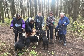 Активисты Молодежной палаты района помогли бездомным животным в рамках акции добрых дел. Фото: официальная страница Молодежной палаты в социальных сетях