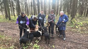 Активисты Молодежной палаты района помогли бездомным животным в рамках акции добрых дел. Фото: официальная страница Молодежной палаты в социальных сетях