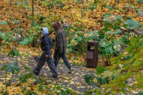 Лекцию о мотивации в спорте прочитают в Парке Горького. Фото: Telegram-канал Парка Горького