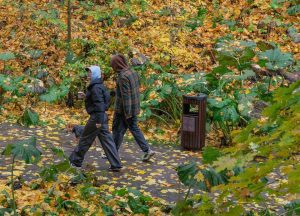 Лекцию о мотивации в спорте прочитают в Парке Горького. Фото: Telegram-канал Парка Горького 