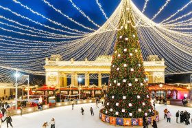 Новогоднюю ель установили в Парке Горького. Фото: пресс-служба комплекса городского хозяйства Москвы